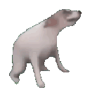 955024513744113705 animated GIF emoji | ! 『𝗕𝗟𝗭』↝ 𝐑𝐀𝐇𝐀𝐅
