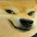 bn_doge_harami Discord sticker - Lovers Cafe™ | Indian Discord Server • Nitro • Voice Chat • Active • India • Hangout • Gaming • SFW