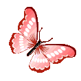 Butterfly_Nara animated Discord emote | Nara |  | 🌸