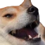 dogekek Discord Emoji from UFOlogy