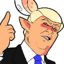 donald custom emote from [adult squid] Never Dies