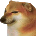 cheems Discord Emoji - Tathastu