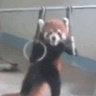 Panda_Nara animated GIF emoji from Nara |  | 🌸