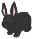 Black_Rabbit Discord Emoji | WONDERLAND