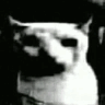 Catdespair Discord Emoji - Besties Community