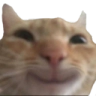 catsmile custom emote from RIZZ HEAVEN | Chill • Hangout • VC • SFW • Events • Friends • Giveaways • Ask to DM • Non Dating