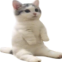 catsit1 Discord sticker from Reality Awaits