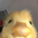 emoji_171 custom emote - BRP | Border Roleplay