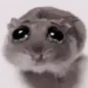 hamsty Discord Emoji | The Greenhouse
