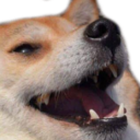 DogeKek Discord Emoji - Hunt