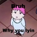 stop_lying custom emote | S4TBB