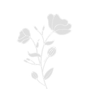 2bouquet custom emote from ۶ৎ　‿　cemetery　 ݁ 　˖