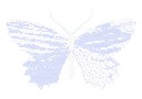 Four distinct pixel-art butterflies in light blue shades arranged in a row.