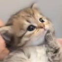 Hmmm custom emote | RON