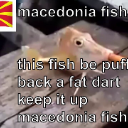 A fish with a cigarette in its mouth overlaid with text reading macedonia fish.