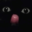BLELELE animated emote | DM Request ¹⁸⁺  📪 ⌇ Adult Only  ⌇ sᴘʀᴇᴀᴅ Love ⌇  Non Toxic  ⌇Connection  ⌇ 𝓷𝓸𝓷  Dating