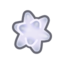 ariesstarfragment Discord Emoji - ⋆˙⟡ 𝙁 𝙀 𝙍 𝘼 𝙇