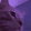 Cat slamming its head rhythmically in a flashing purple and red color cycle.