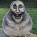 chuotjoco Discord Emoji - Reality Awaits
