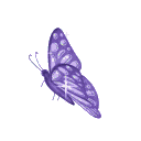 a_butterfly animated GIF emoji from ʚㆍαᏇzㆍଓ