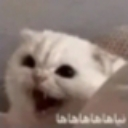 emoji_6 custom emote from 𝖕.𝖙.𝖒