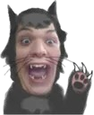 derek_cat Discord Emoji from flockmod