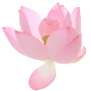 008_pinkflowers custom emote - truly ᯓ✩ friends ㆍ giveaways ㆍ tags ㆍ chill ㆍ vc ㆍ hangout ㆍ social ㆍ cute ㆍ emotes ㆍ active ㆍ chat