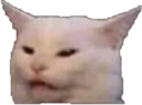 whatulookinat custom emote - ATGs (All The Gamers)
