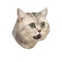 wow Discord sticker from Chi on air