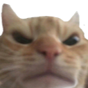 catAngry Discord sticker - ATGs (All The Gamers)