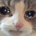 R_sadCat Discord Emoji from Prod. By | Music Production