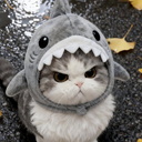 AngySharkKitty custom emote - 𝕋𝕙𝕖 ℂ𝕠𝕫𝕪 ℂ𝕠𝕝𝕝𝕖𝕔𝕥𝕚𝕧𝕖