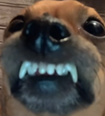 Dog custom emote - Heart.exe