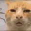 eee_huh animated GIF emoji from XO