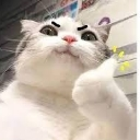 A grumpy cat with drawn-on angry eyebrows gives a thumbs up gesture.