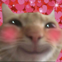 A cat with a shy, blushing expression and rosy cheeks set against a background of pink and red hearts.