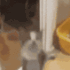 emoji_237 animated emote from 𝗕𝗼𝗮𝘆𝗲𝗱𝗵 𝗙𝗮𝗺𝗶𝗹𝘆