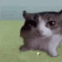 Explode animated Discord emote from NECROPOLIS