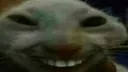 jijiji custom emote - ♥гẸúϻẸƤӹ♥