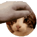 emoji_43 animated emote from CR79STUDIOS
