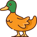 duck_brown Discord Emoji | Friends 18+ Sfw | Adults-only • active-chat • Mature • Friendly • Gaming • Lgbtq+ • Hangout