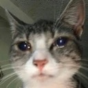 emoji_17 Discord sticker from ᏕᎻᏒᎬᏦ ᎷᎯᎠ ᎷᎯᎠ