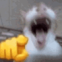 catlaugh animated GIF emoji from trans chompers