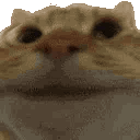 yes animated Discord emote - Lucid Love ☾  Relationship ⭑ Social ⭑ Gaming ☽