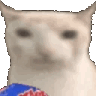 mm_cateating animated Discord emote from FAAAHHHH