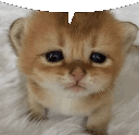 globo Discord Emoji from CobbleTech: Dungeon Trials