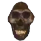 A dark, low-resolution prehistoric skull with a wide, unsettling grin.