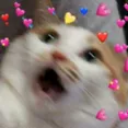 quemaneiro custom emote | Again
