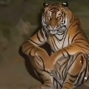 emoji_4 custom emote | 𝙂𝙇𝙊𝘽𝘼𝙇 𝙀𝘿𝙄𝙏𝙊𝙍𝙎