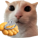 CattoRing Discord sticker from DM Request 📪 ⌇ Ask To DM & Chatting ⌇ Non Dating ⌇ Social ⌇ Friendly ⌇ Nitro ⌇Non Toxic